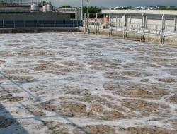 flootech phoenix pulp and paper reference