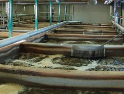 flootech eura wastewater treatment plant reference