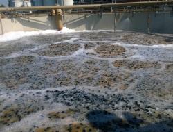 flootech floobed mbbr technology, a efficient and compact biological wastewater treatment for industrial applications